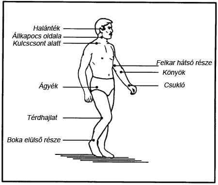 arterialpressurepoints.jpg